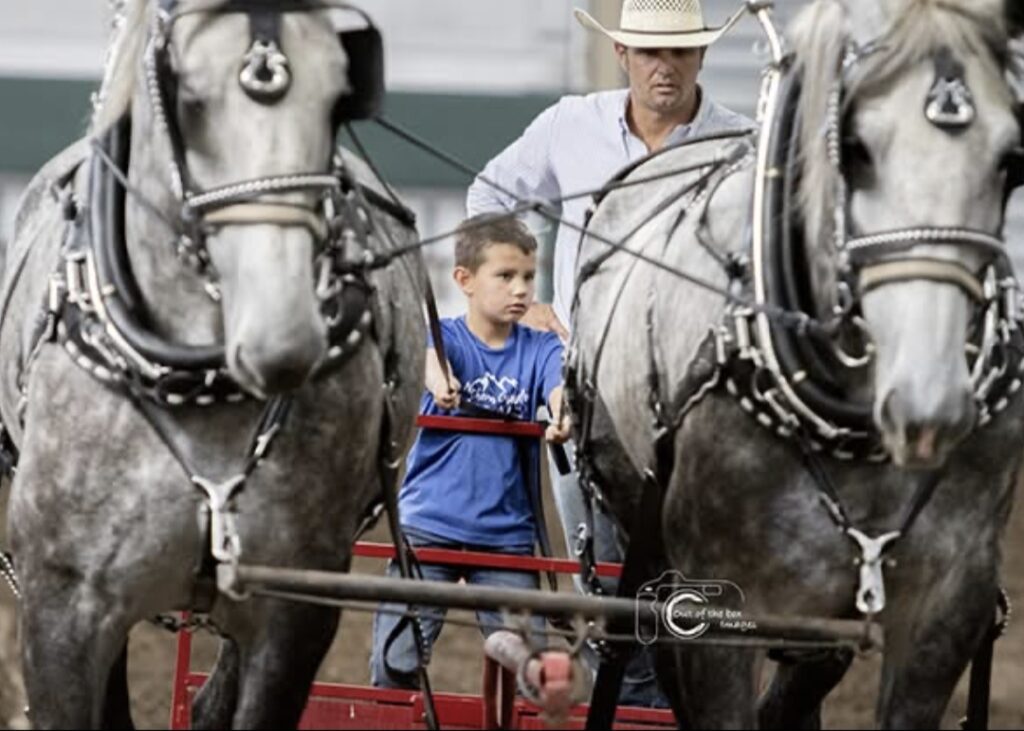 screenshot 20251023 183234 gallery