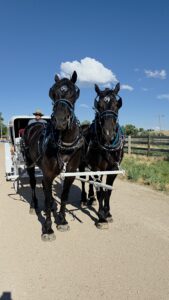 Tkfamilyfarm 169x300