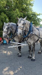 Tkfamilyfarm 5 169x300